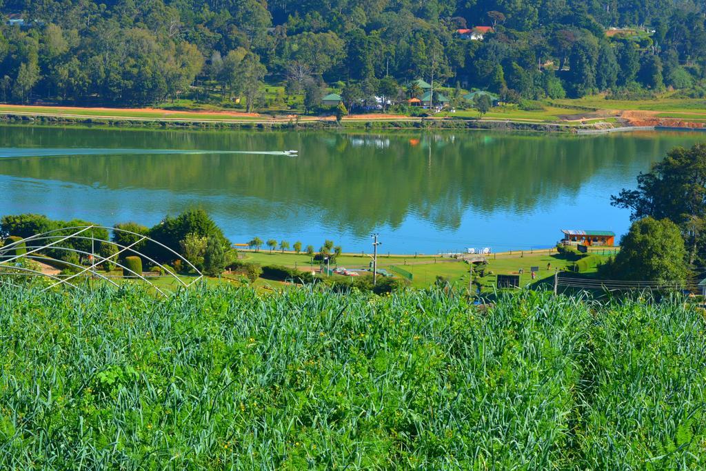 Guest House Hill Paradise Nuwara Eliya Exteriör bild
